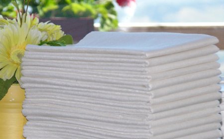 What’s the application of Spunlace Nonwoven Fabric？