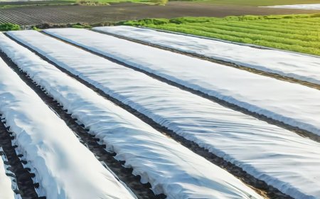 Empowering Sustainable Agriculture: How High-Performance Nonwoven Fabrics Are Revolutionizing Modern Farming